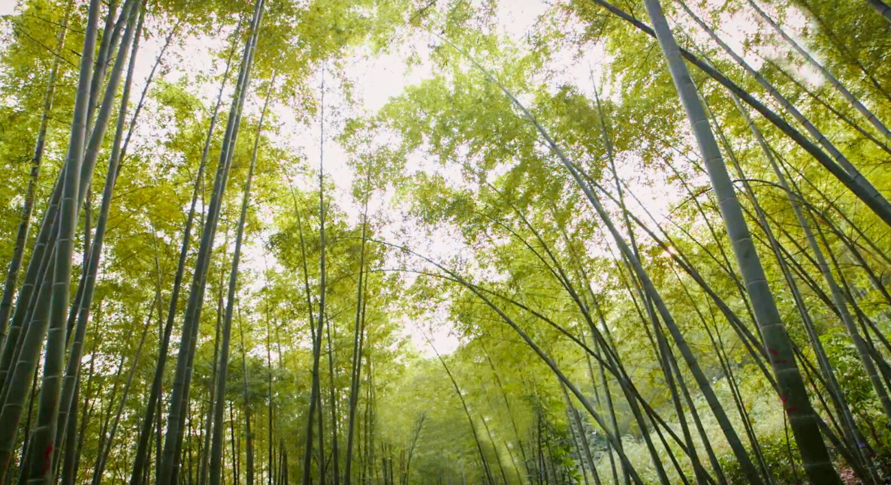 ����ƽ̨|��������-����ע���¼ƽ̨����