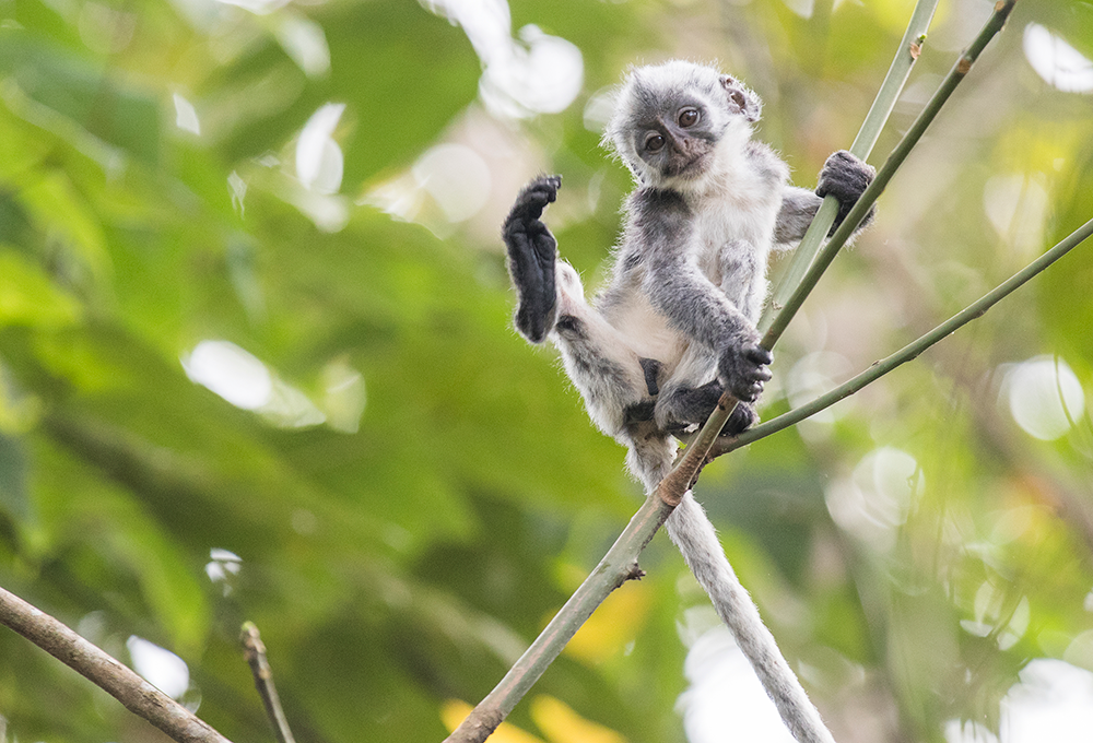 ����ƽ̨|��������-����ע���¼ƽ̨����